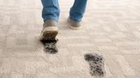 Carpet Cleaning Pros image 3